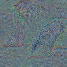 n02058221